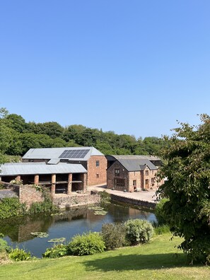 the Old Mill pond