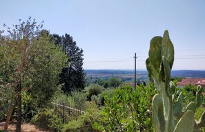 Terrain de l’hébergement 