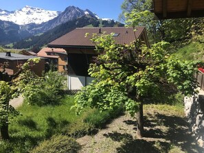 Sky, Plant, Property, Mountain, Nature, Leaf, Building, Botany, Vegetation, Tree