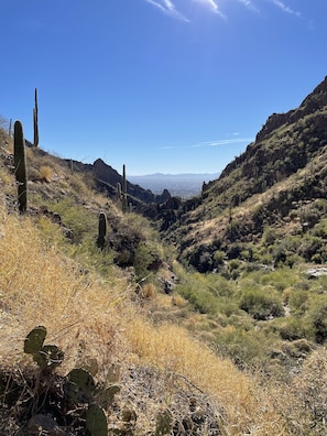 Ventana Canyon hike (2 miles from condo - condo is center of pic)