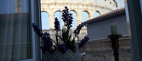 View to the Amphitheater from apartment's window