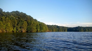 Lake view