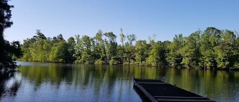 Järvi