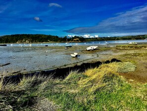 A moment from picturesque riverside walks