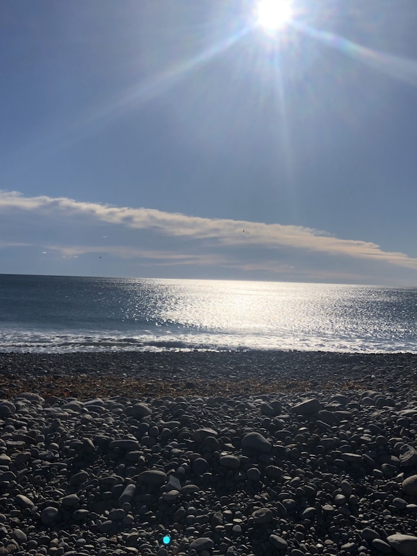 Pebble Beach, January 2022