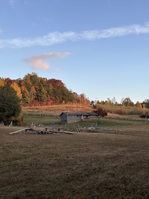 The view of the rental house from the pasture. Fall colors.