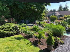 Beautiful yard to relax in 