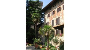 Plant, Building, Property, Window, Flowerpot, House, Tree, Sky, Arecales, Neighbourhood