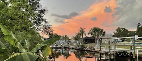 Beautiful canal views from the back yard