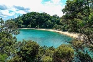 Whale Bay, a 15 minute walk from the house through native bush reserve tracks.