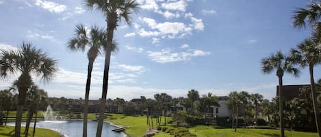 View from screened lanai