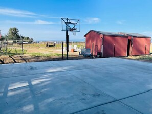 Basketball Court