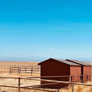 Sheds in Back