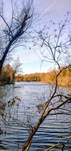 View of lake from woods behind house