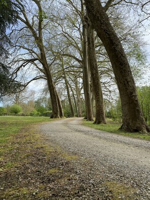 Overnatningsstedets område