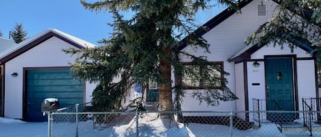 "Two Spruce and a Moose" Cozy Leadville Getaway