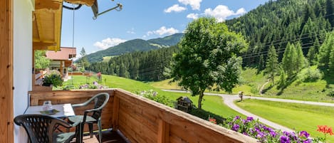 Patio / Balcony