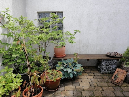 Sitzbereich im grünen Innenhof