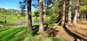 Relax in a hammock by the cabin w/views of "Frog Pond", the garden and orchard. 