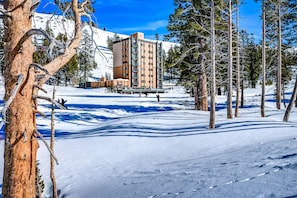 Snow and ski sports