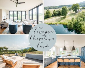 Welcome to Terrapin Mountain Farm, located in Blue Ridge Mtns in Big Island, VA