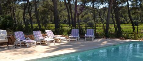 Piscine avec vue sur la pinède et le vignoble