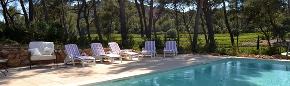 Piscine avec vue sur la pinède et le vignoble