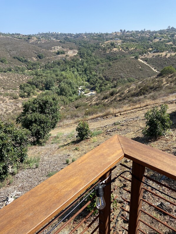 View of the river from deck zoom in to see
