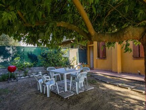 Plant, Furniture, Table, Building, Chair, Window, Outdoor Furniture, Outdoor Table, Tree, Shade
