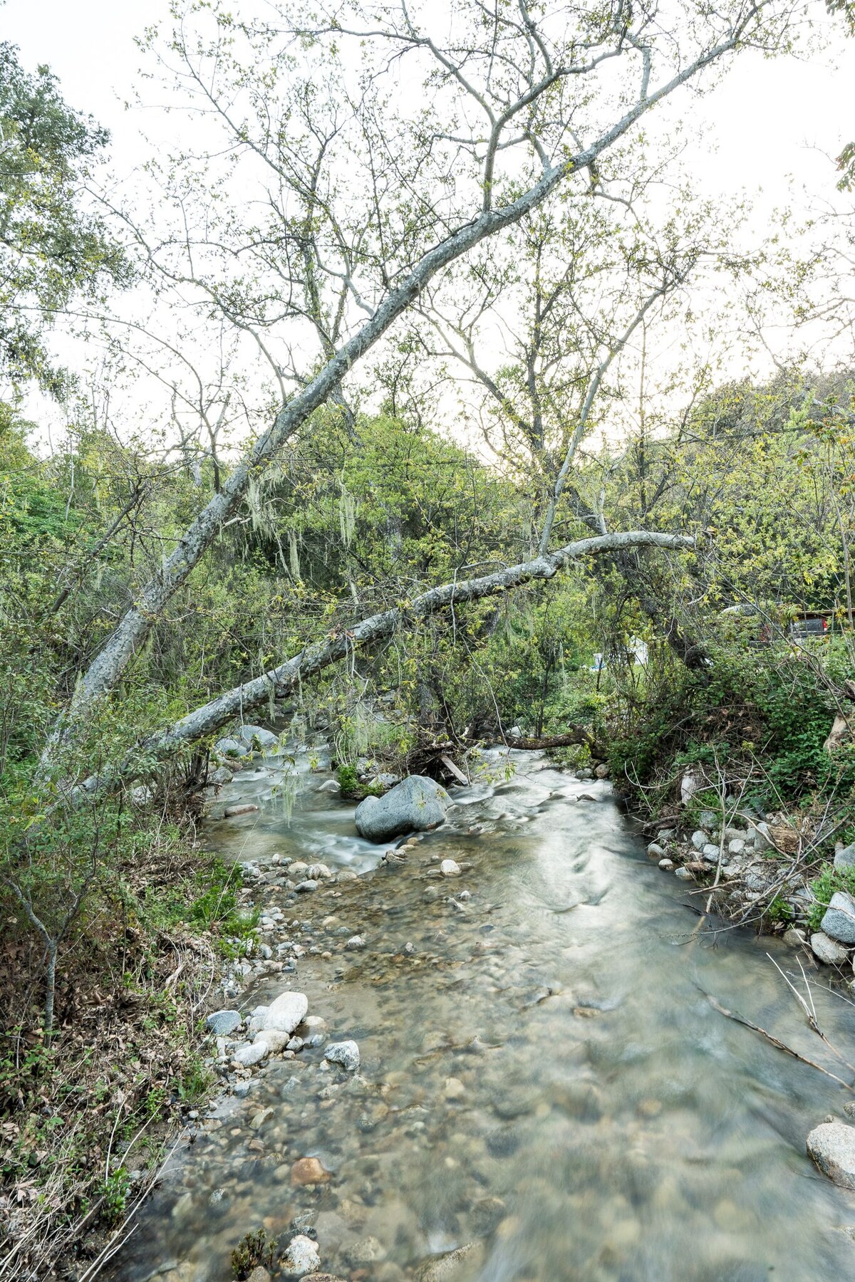 Cottage charm in the Santa Lucia Mountains