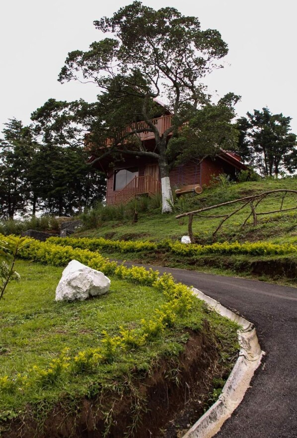 Jardines del alojamiento