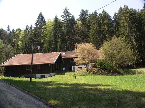Exteriör