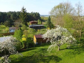 Ausblick