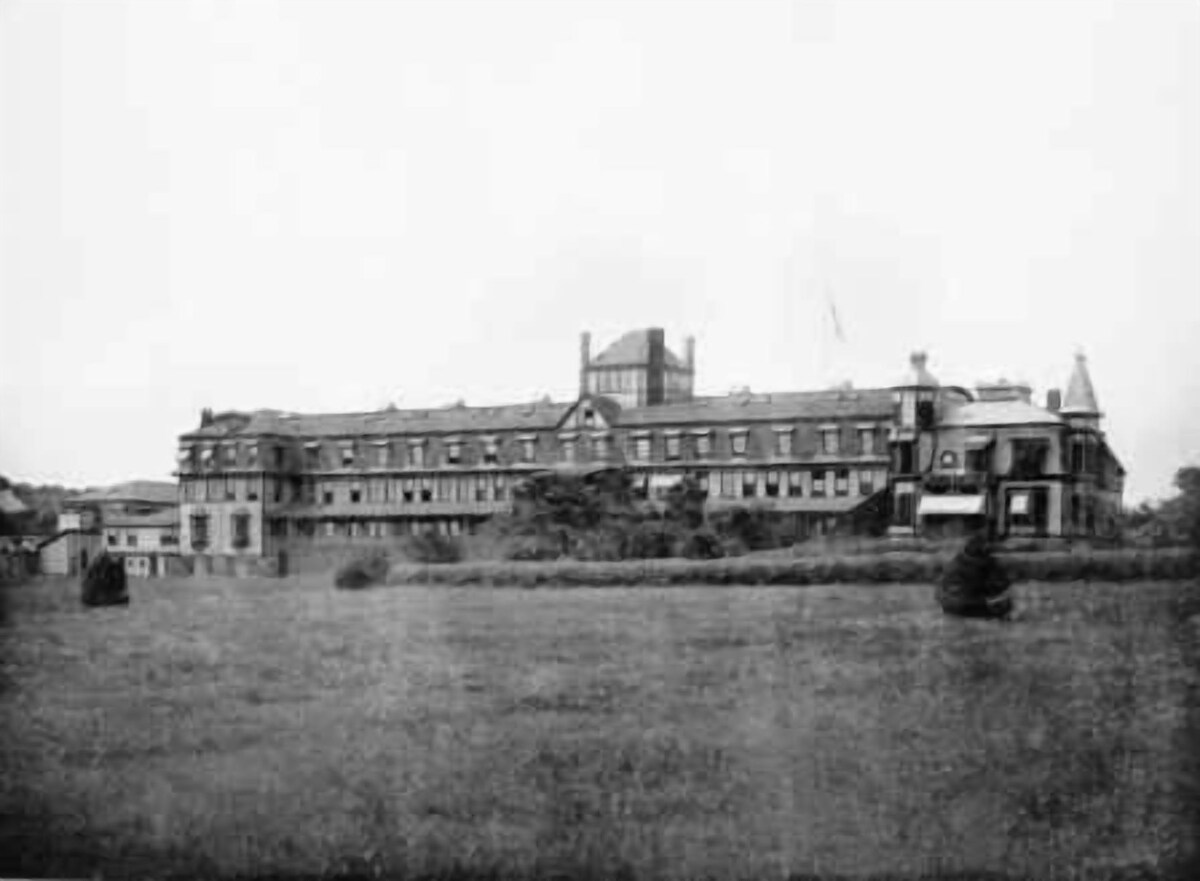 Main Image