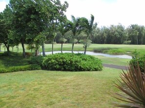 View from lanai - On the 18th hole of the Fazio course