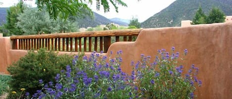 View to Taos Mountain from adobe privacy wall wall front patio