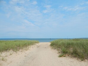 Devon Beach