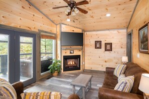 Living room and fireplace