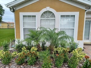 Tropical landscaping