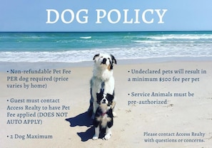 Dog Policy
