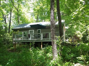 The Dell in Summer