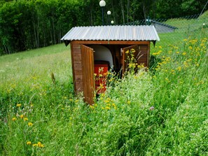 Pflanze, Blume, Pflanzengemeinschaft, Grün, Natürliche Landschaft, Grundstueck, Biome, Gras, Baum, Holz