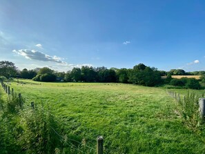 Fields around The Barns