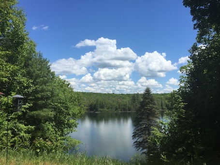 Image de lâhĂ©bergement Bronson Lake Cottage-The Most Beautiful Place in America-Sleeping Bear Nat. Park