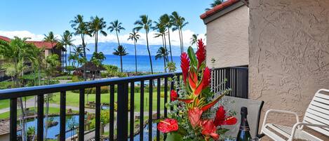 View from Lanai