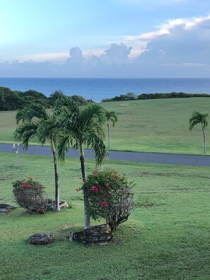 View from porch