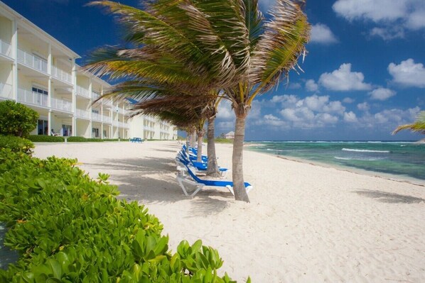 Beautiful Beach in front of Condo building