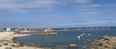 Plage des chardons bleus