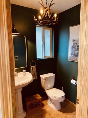 Love the powder room with dark greens, brass, resin antler chandelier & toilet 🤣