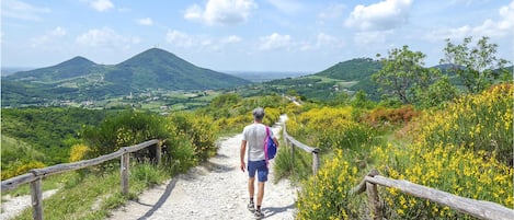 Terrain de l’hébergement 